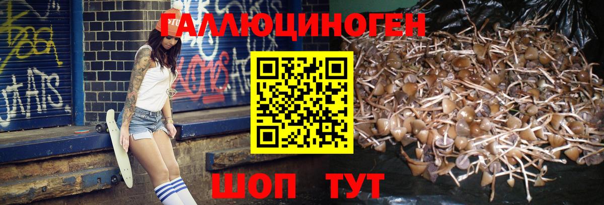 Дзержинск  дарнет шоп  Вход с VPN  Псилоцибиновые грибы Magic Shrooms  Галлюциногенные грибы Cubensis 